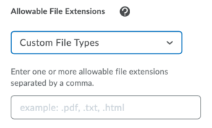 Allowable File Extensions - Custom