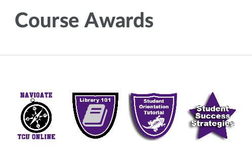 Award Examples in Student Orientation Tutorial