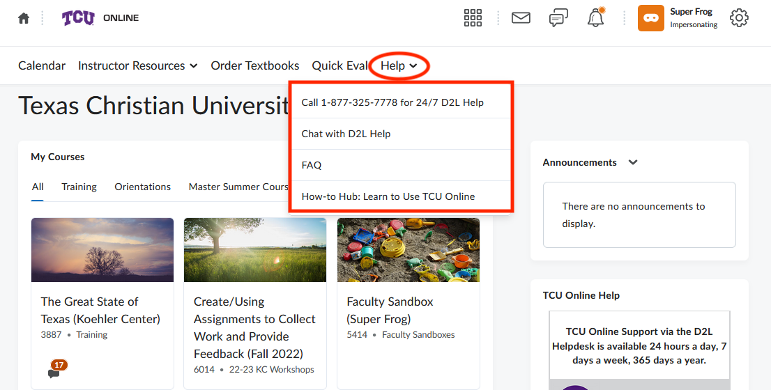 Image showing Help dropdown in TCU Online.