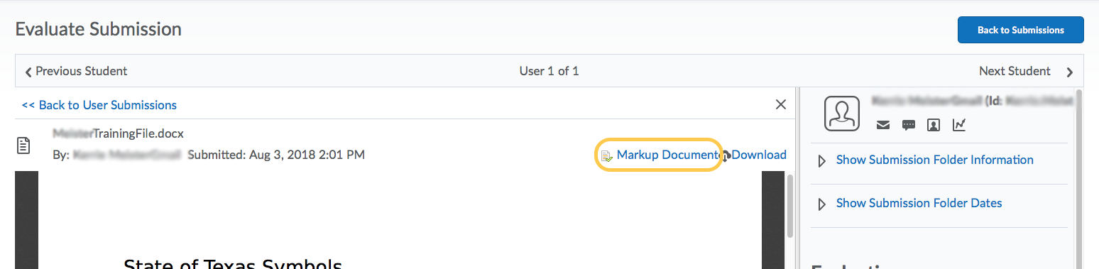 Markup Document